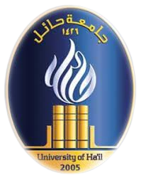 ICSCA2022